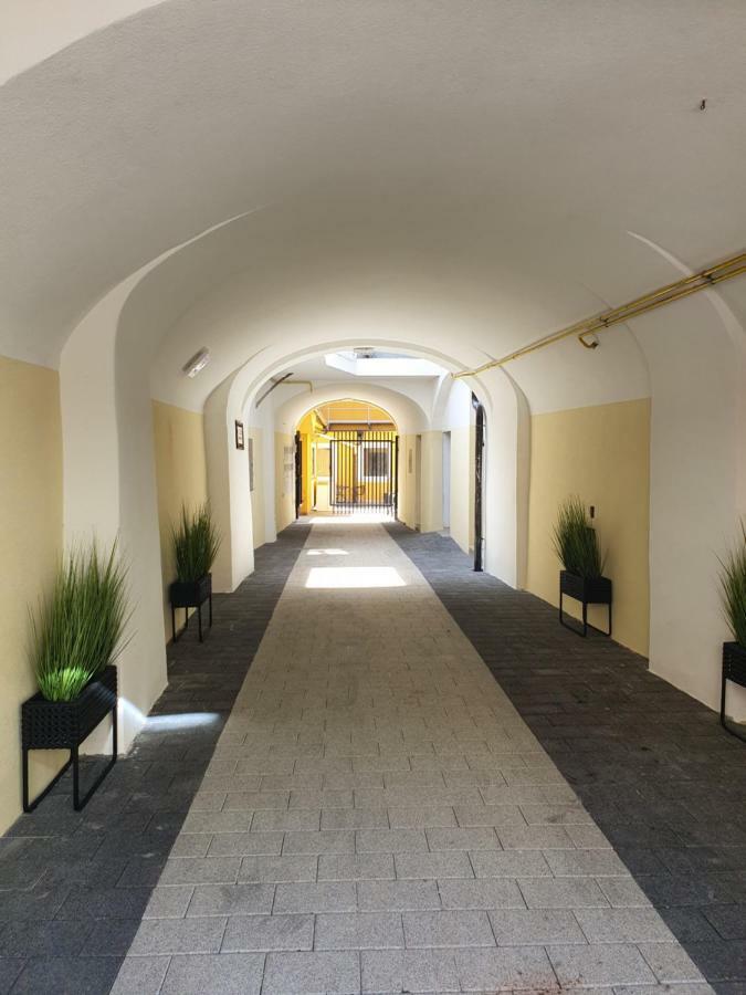 Luxory Apartment The Soul Of City ماريبور المظهر الخارجي الصورة